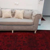 چستر فیلی