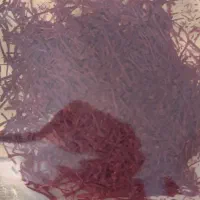زعفران|خوردنی و آشامیدنی|نوشهر, |دیوار