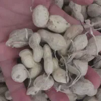 بادام زمینی خوراک دام