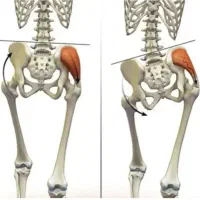 کلینیک ارتوپدی فنی قوز،گودی کمر،انحراف ستون فقرات|خدمات آرایشگری و زیبایی|فامنین, |دیوار