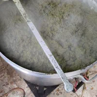 سبزی خورشتی وسبزی قلیه ماهی و سبزی آش باقلا|خوردنی و آشامیدنی|حمیدیه, |دیوار