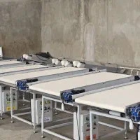 چانه گیر نان بربری و باگت و بولکی|ماشینآلات صنعتی|گلبهار, شهر جدید گلبهار|دیوار