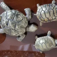 لاکپشت برنز