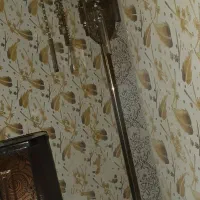 آباژورکنارسالنی