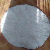 پرز بلند دایره|فرش|خوی, |دیوار