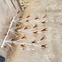 کارمند خانم بازار آهن