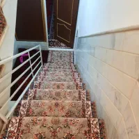 کناره فرش افشان ماهرخ موکت مدرن|فرش|قم, شاه ابراهیم|دیوار