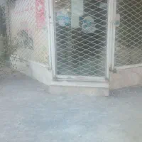 مغازه-تجاری