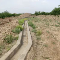 فروش باغ در بینالود ایران خودرو خراسان|فروش زمین و ملک کلنگی|ملک‌آباد, |دیوار