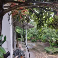 ۸۰۰ زمین جهت مشارکت