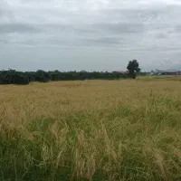 زمین-فوق-العاده