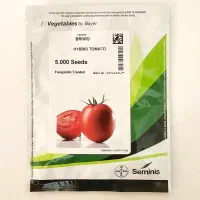 بذر خیار گوجه سمینیس هویج هندوانه کلوز اقساطی