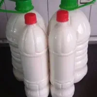 پخش شیر و لبنیات محلی