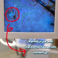 آموزش و خدمات اسکالپ اسکراب|خدمات آرایشگری و زیبایی|شیراز, سینما سعدی|دیوار