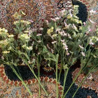 ۸عددشاخه گل شکوفه بهاری