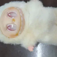 لبوبو اورجینال|اسباب‌‌بازی|قم, زنبیل آباد|دیوار