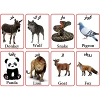 کتاب وفلش کارت