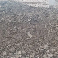 کود گاوی پوسیده|گل و گیاه طبیعی|شهرکرد, |دیوار