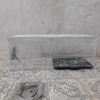 قفس بزرگ پرنده جوجه پران