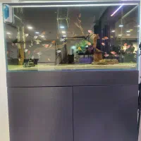 اکواریوم طرح ADA