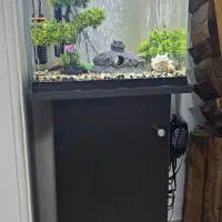 آکواریوم/ماهی / شیشه خم/دلسا