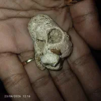 سنگ خاص و عتیقه