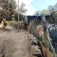زمین ،باغ