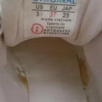 کتونی|کیف، کفش، کمربند|ری, دیلمان|دیوار