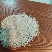 برنج درجه یک ایرانی ،قیمت منصفانه.|خوردنی و آشامیدنی|پردیس, فاز ۴|دیوار