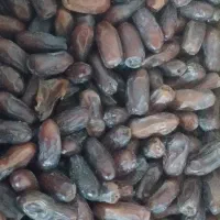 خرما|عمده‌فروشی|چابهار, |دیوار