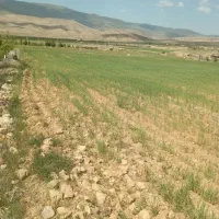 زمین500متر-تلمادره