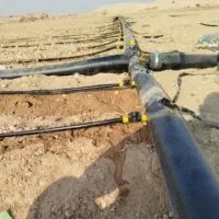 قطره ای و تیپ بندی انواع کشت کشاورزی
