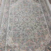 فرش|فرش|ارومیه, |دیوار