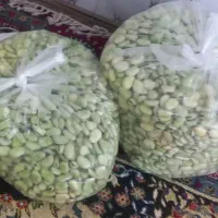 کوی مندلی سراه خرمشهر خ کروشات 6