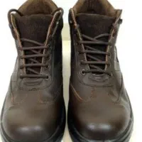 کفش ایمنی بهشتیان