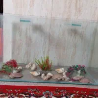 اکواریوم بزرگ شیشه ای با لوازم