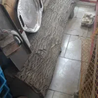 چوب گردو