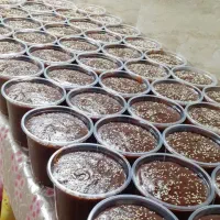 سمنوی عمو حسین