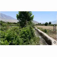 فروش زمین برنجکاری