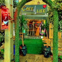 نیازمند کار در کافه