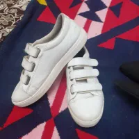 کفش مجلسی وورزشی اولی یکبار پوشیده شده|کیف، کفش، کمربند|تبریز, |دیوار