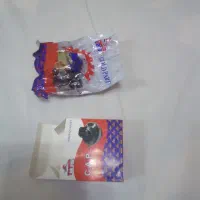 در باک یاماها۱۰۰