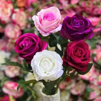 بوته|گل مصنوعی|خوی, |دیوار