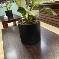 اپارتمان میدان مطهری ۱۸۰ متری خشک