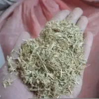 کاه لوبیا چیتی