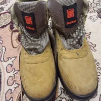 کفش کار
