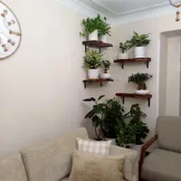 شلف دیواری چوبی شلف روستیک|کتابخانه، شلف، قفسه‌های دیواری|تهران, آشتیانی|دیوار
