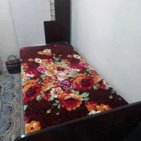 دو عدد تخت