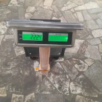 ترازو|فروشگاه و مغازه|گرگان, |دیوار