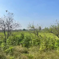 زمین مسکونی زیر قیمت سند تک برگ/کد آگهی محمد
